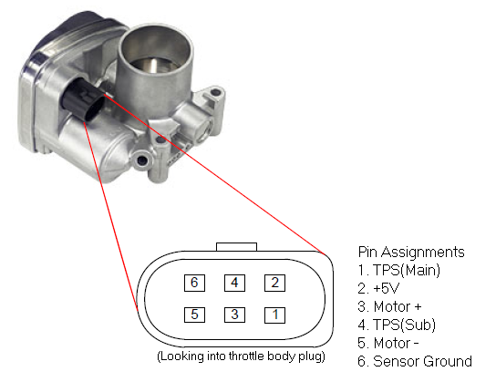 BMW M52 (VDO) E-Throttle Wiring